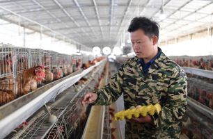 培養(yǎng)實(shí)干型帶頭人推動(dòng)鄉(xiāng)村產(chǎn)業(yè)振興